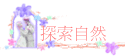 ۵M