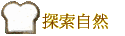 ۵M