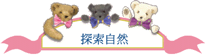 ۵M