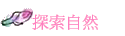 ۵M