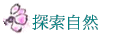 ۵M