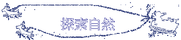 ۵M