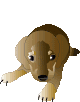 269x194.gif