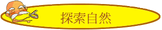 ۵M