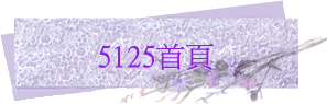 5125