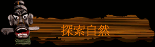 ۵M