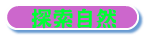 ۵M