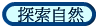 ۵M