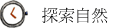 ۵M