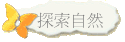 ۵M