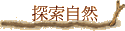 ۵M
