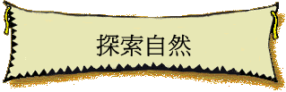 ۵M