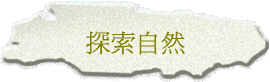 ۵M