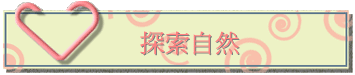 ۵M
