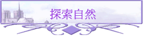 ۵M