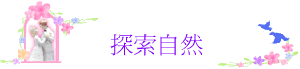 ۵M