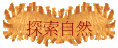 ۵M