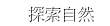 ۵M