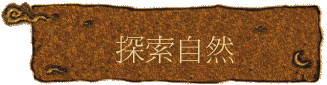 ۵M