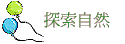 ۵M