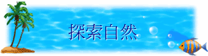 ۵M