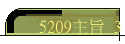 5209D 3