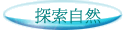 ۵M