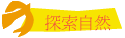 ۵M
