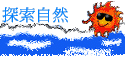 ۵M