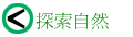 ۵M