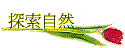 ۵M