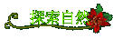 ۵M
