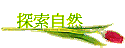 ۵M