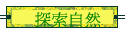 ۵M