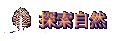 ۵M