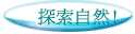 ۵M!