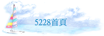 5228