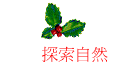 ۵M