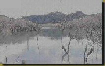 �B�A���w�\�������H