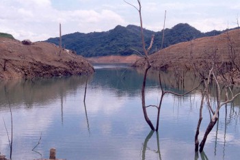 �B�A���w�\�������H