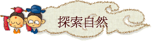 ۵M