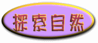 ۵M
