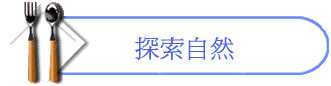 ۵M