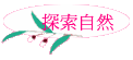 ۵M