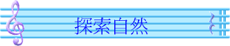 ۵M