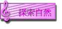 ۵M