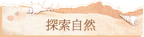 ۵M