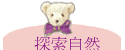 ۵M