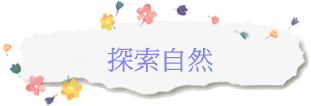 ۵M