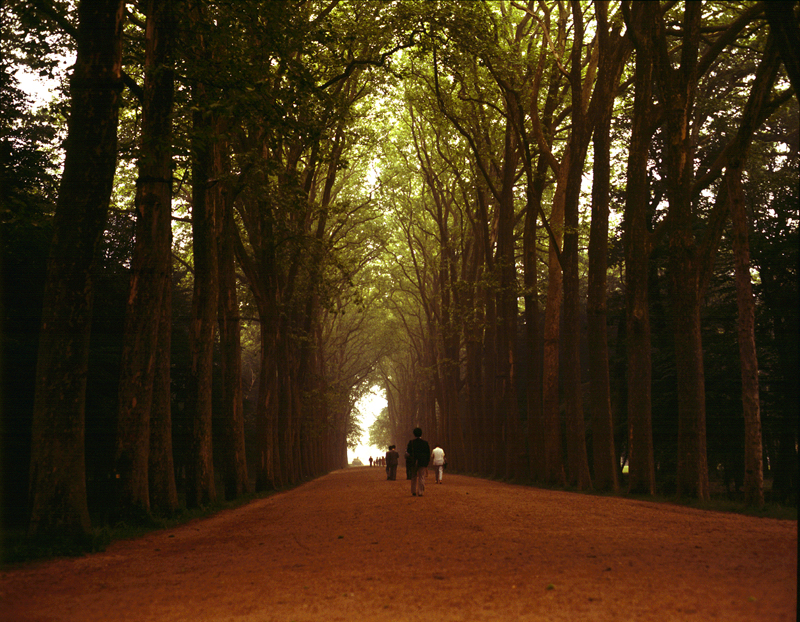 nature_03.jpg